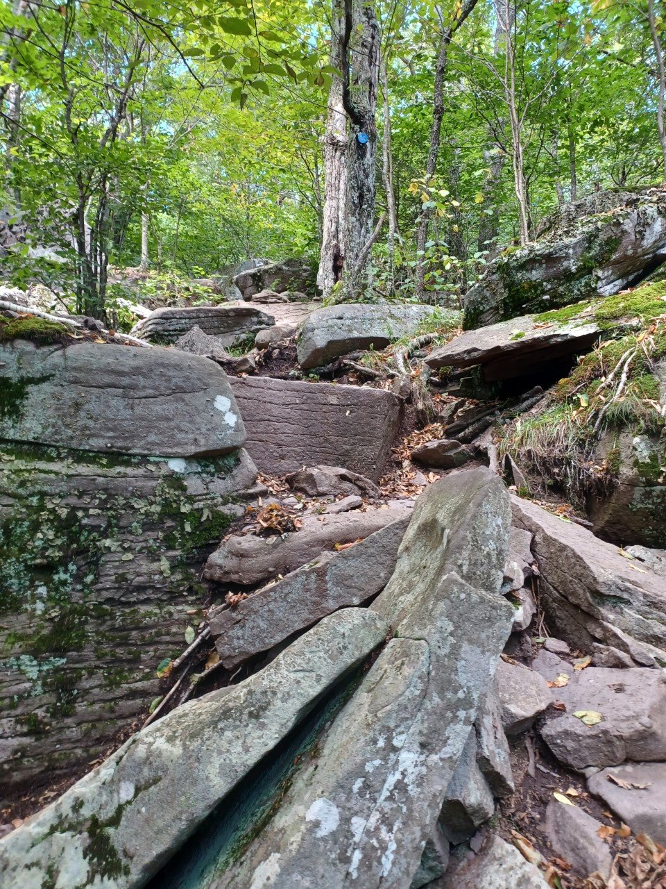 A challenging portion of the Giant Ledge trail where use of hands might be required.